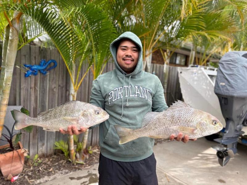 Grunter not only provide great sport they are exceptionally good on the plate as well - photo © Fisho's Tackle World