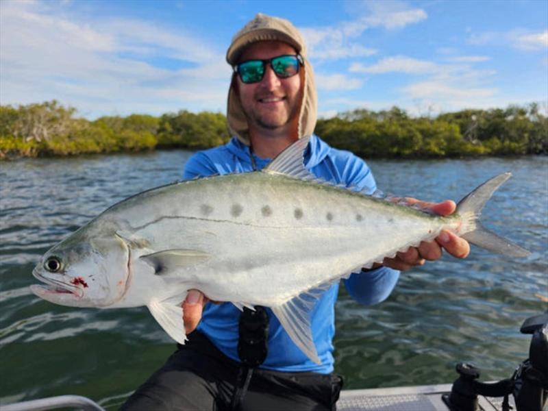 School size queenfish will become prolific around our bay islands and creek mouths - photo © Fisho's Tackle World