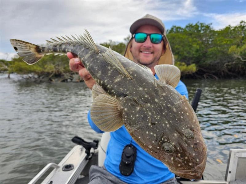 Flathead will become a more common capture from around our river & creek mouths and adjacent flats. Staff member Jackson tempted this one on a soft plastic - photo © Fisho's Tackle World