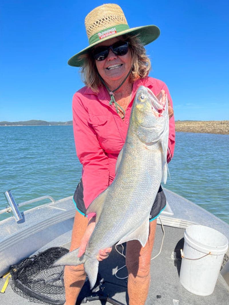 Marg tempted this solid blue salmon cruising the flats with a prawn imitation soft plastic - photo © Fisho's Tackle World