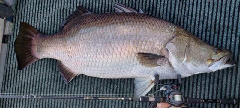 Jase scored a 117cm Mondy pig for his first fish of the trip, on one of his favourite combo's - Tairyo & Quantum combos - photo © Fisho's Tackle World
