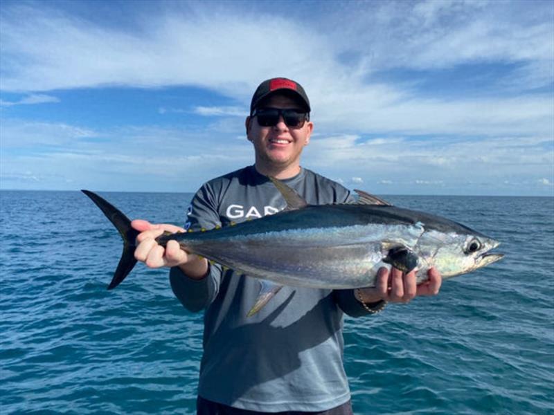 Longtail tuna numbers, although dwindling on the surface, will become a common capture down deep around bait balls whilst targeting species like snapper - photo © Fisho's Tackle World