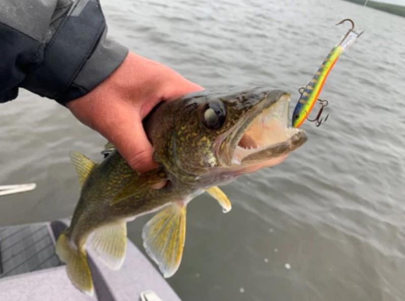 LTW Jigging Rap - photo © St. Croix Rods