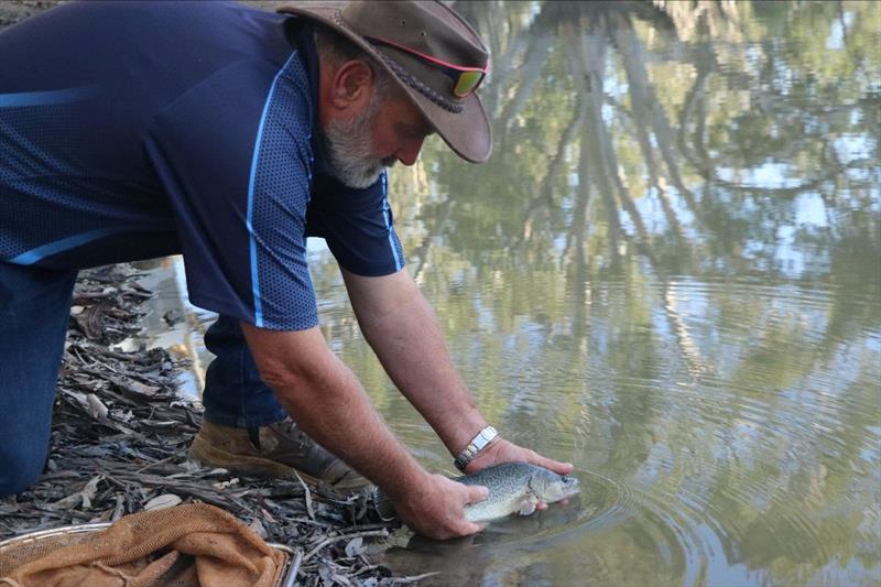 It's eastern freshwater cod breeding season photo copyright RFA of NSW taken at Recreational Fishing Alliance of NSW (RFA of NSW) and featuring the Fishing boat class