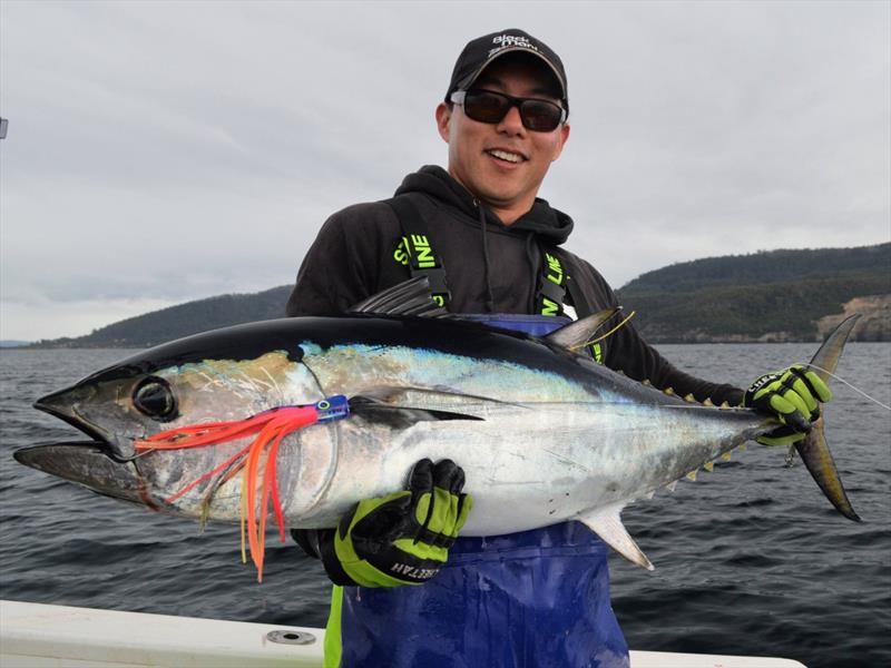 Jonah Yick with one of numerous schoolies up to 25kg straight out from Pirates bay photo copyright Spot On Fishing Hobart taken at  and featuring the Fishing boat class