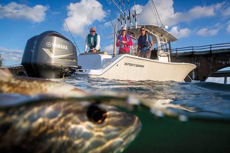 American Sportfishing Association to participate in 2024 “Passion to Profession” NPAA Conference - photo © National Professional Anglers Association