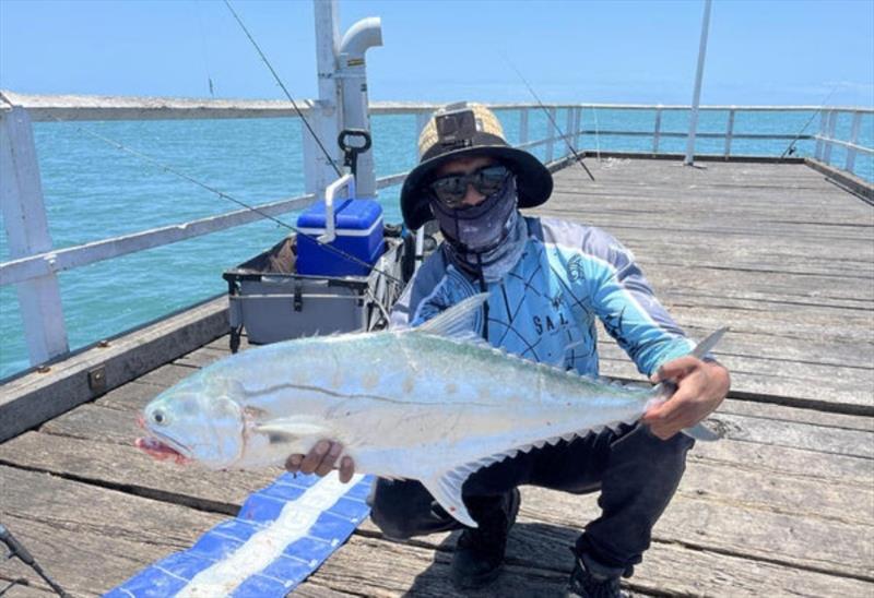 Here's Don with a sizeable Urangan Pier queenfish. Sight-fishing for cruising queenies can be fun this time of year photo copyright Fisho's Tackle World taken at  and featuring the Fishing boat class