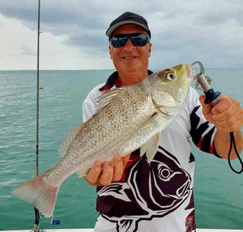Steve enjoyed a day out with Bobby on a Hot Reels Charter and scored this nice grunter amongst others - photo © Fisho's Tackle World