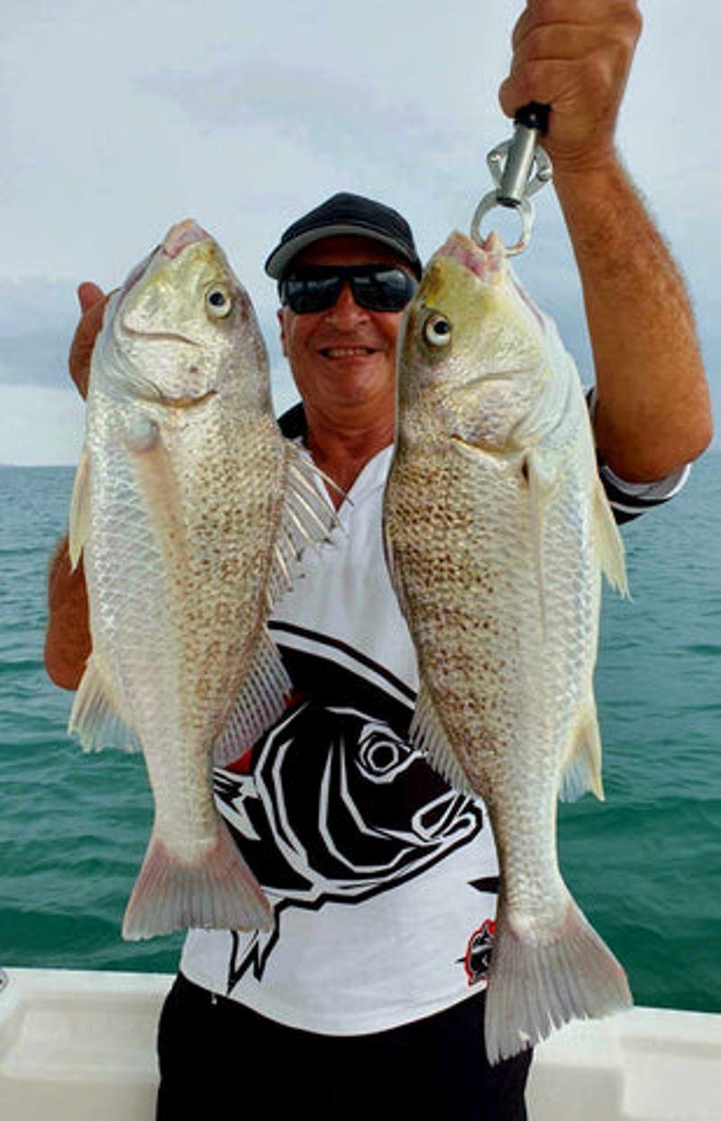 Grunter are on the chew inshore at present, and will be for some time yet - photo © Fisho's Tackle World
