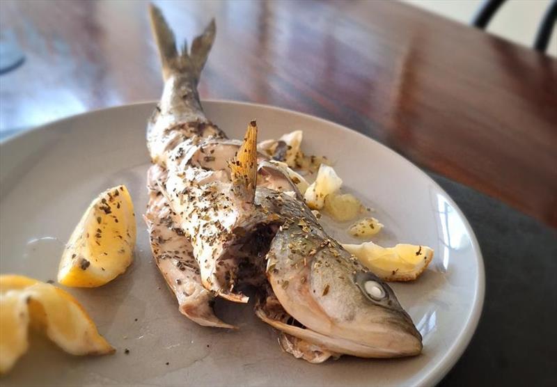 When dispatched, gutted and bled quickly Australian salmon make for a delicious dinner photo copyright Department of NRE Tasmania taken at  and featuring the Fishing boat class