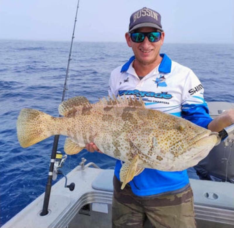 Estuary cod are back on the chew and will be very aggressive in warmer water. Here is Ben with a chunky one - photo © Fisho's Tackle World