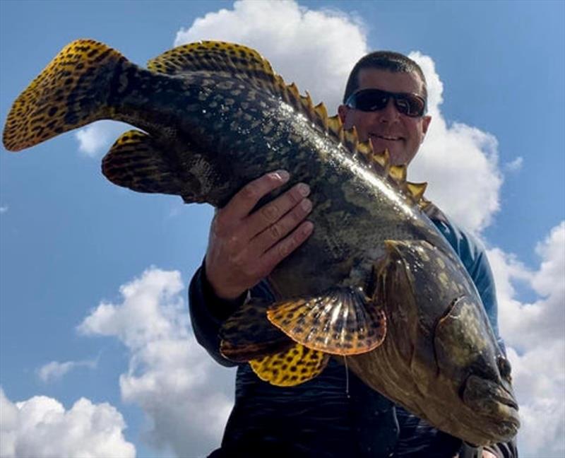 Ryan caught and released this Qld groper not long ago. They sure are pretty when they are little - photo © Fisho's Tackle World