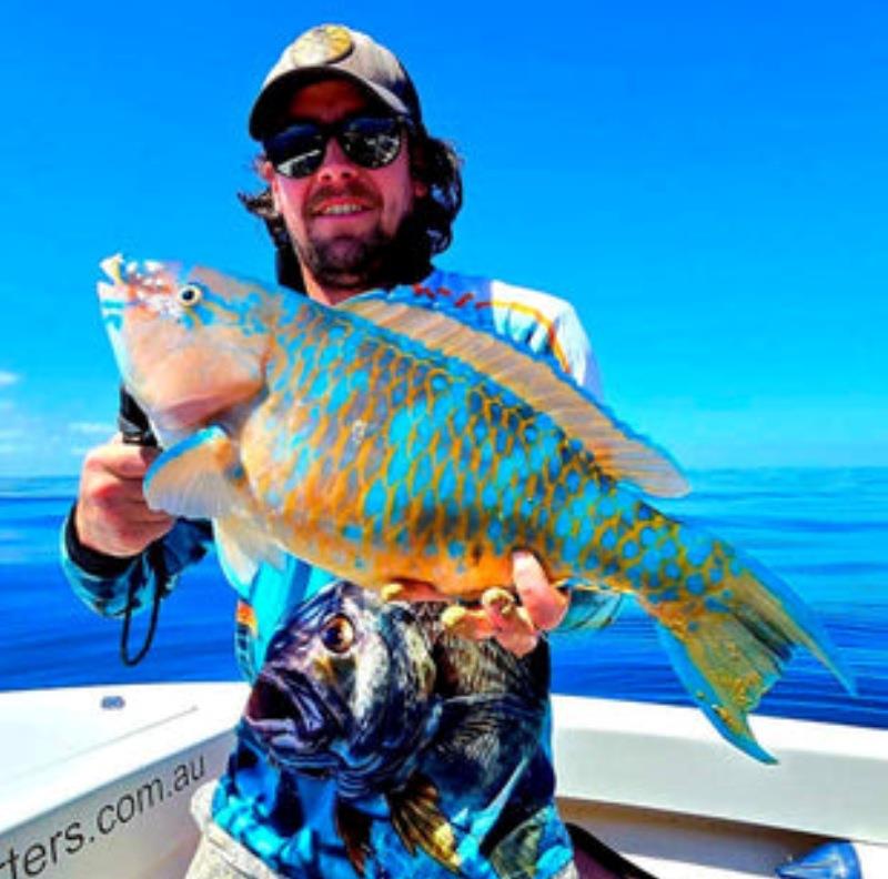 A surf parrot caught on a recent Hot Reels Fishing Charter - photo © Fisho's Tackle World
