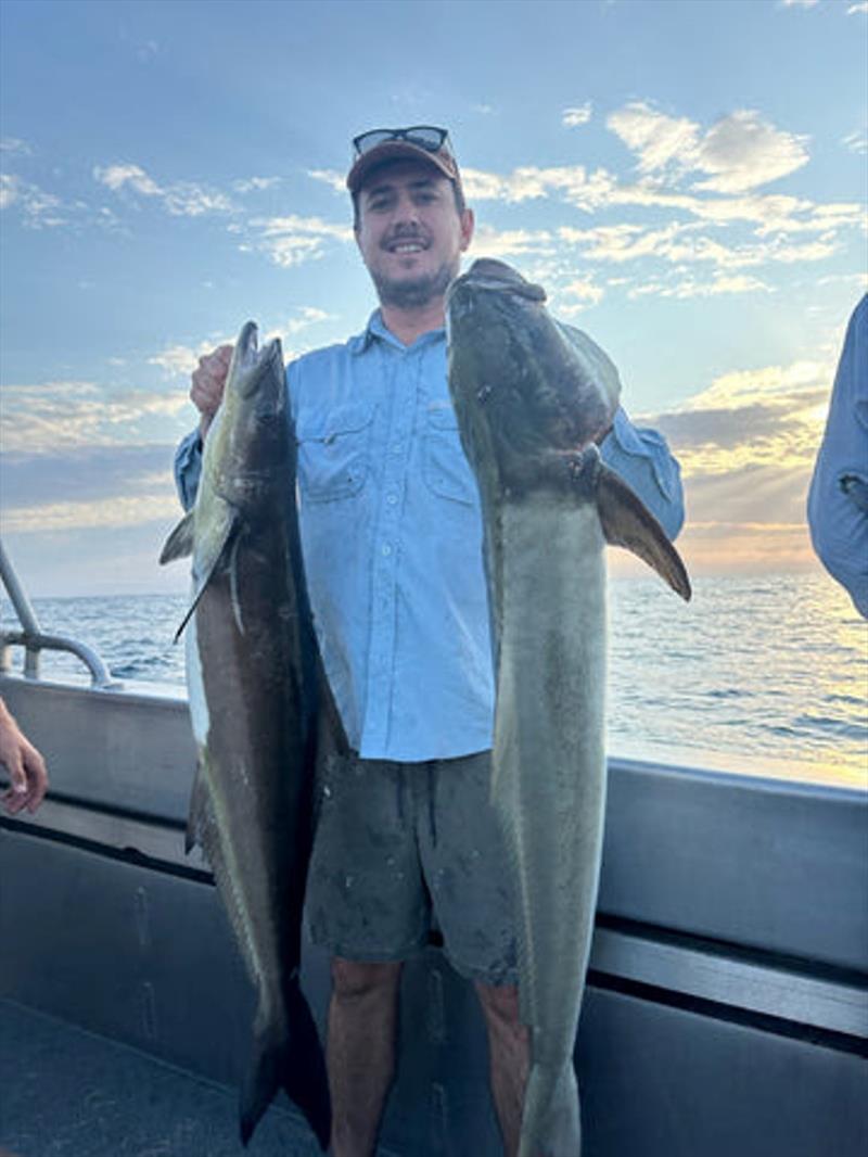 Schools of cobia have turned up off the Wide Bay bar and Greg from Double Island Point Fishing Charters is onto them - photo © Fisho's Tackle World