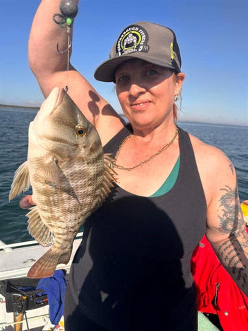 Grassy sweetlip numbers explode in the southern bay this time of year - photo © Fisho's Tackle World