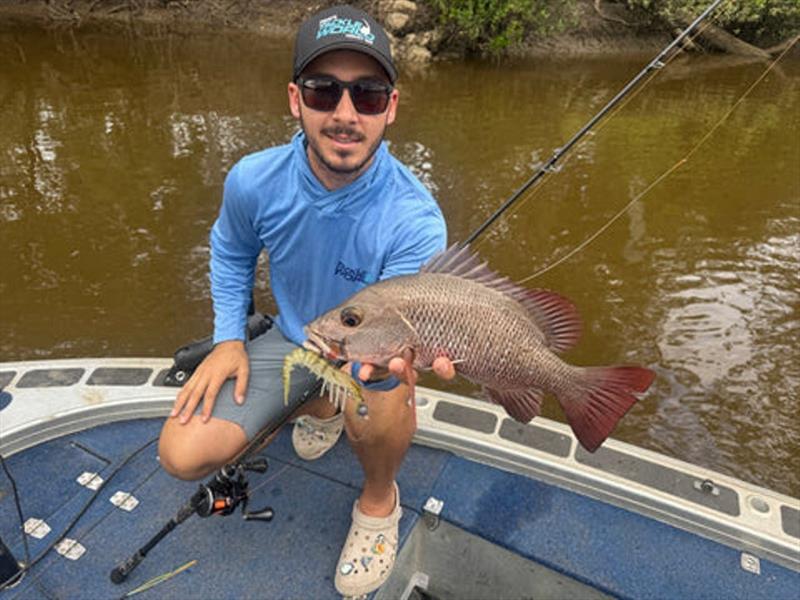 Dane with Burrum barra-fishing bycatch whilst sinking a Zerek Live Cherabin lure into the snags - photo © Fisho's Tackle World