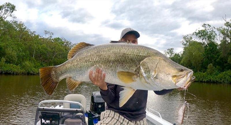 Joe's Burrum River 114cm barra smoked an Irukandji Megaprawn - photo © Fisho's Tackle World