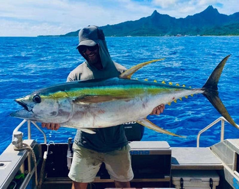 Justin Harris caught this chunky yellowfin tuna during a recent trip to the Cook Islands - photo © Fisho's Tackle World