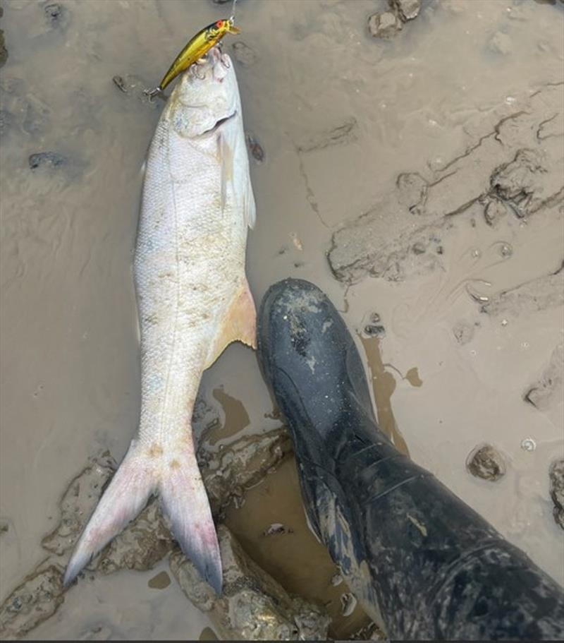 Gumboots, gold bombers and salmon from the rocks at River Heads. Just like the way we used to do it in filthy floodwaters years ago - photo © Fisho's Tackle World