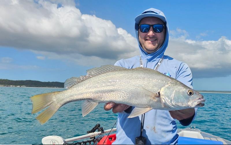 Find a school of jewies and it can be a fish a drop. A school Jacko found is all undersized at around the 70cm mark, but fun nonetheless - photo © Fisho's Tackle World