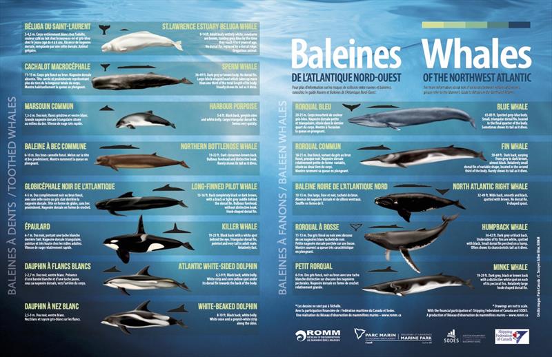 Graphic - photo © Parcs Canada  / C. Soucy et Esther Blier, ROMM