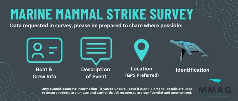 MSS Infographic - photo © Marine Mammal Advisory Group