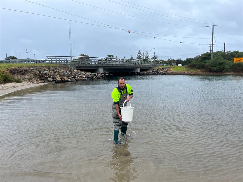 VFA's Mark Little stocking dusky flathead at Lakes Entrance photo copyright Victorian Fisheries Authority taken at  and featuring the Fishing boat class