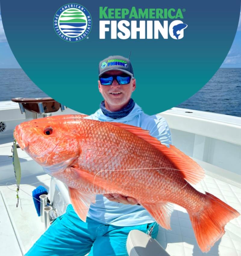 Saltwater Red Snapper photo copyright American Sportfishing Association taken at  and featuring the Fishing boat class
