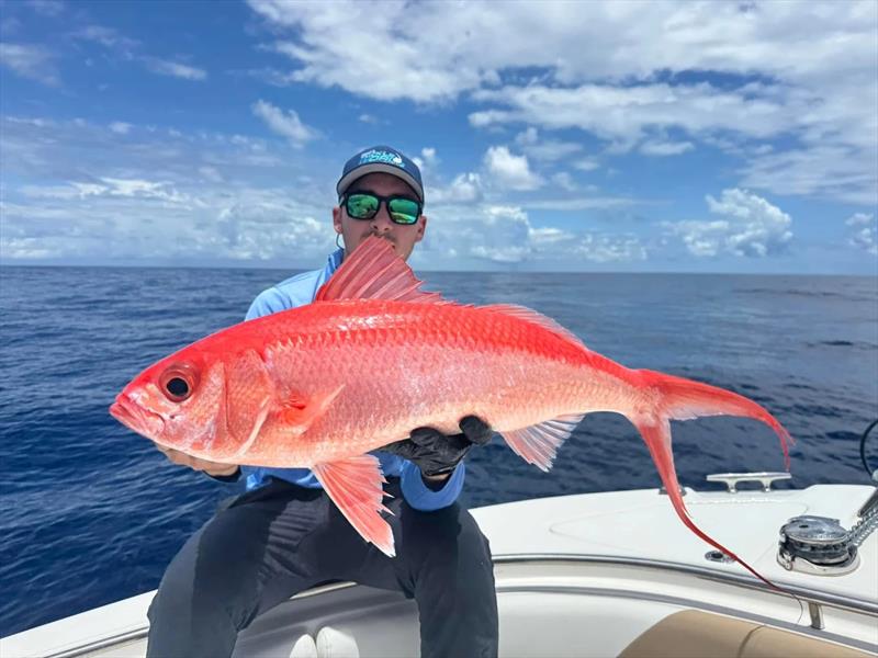 Deep drop fishing photo copyright Fisho's Tackle World Hervey Bay taken at  and featuring the Fishing boat class