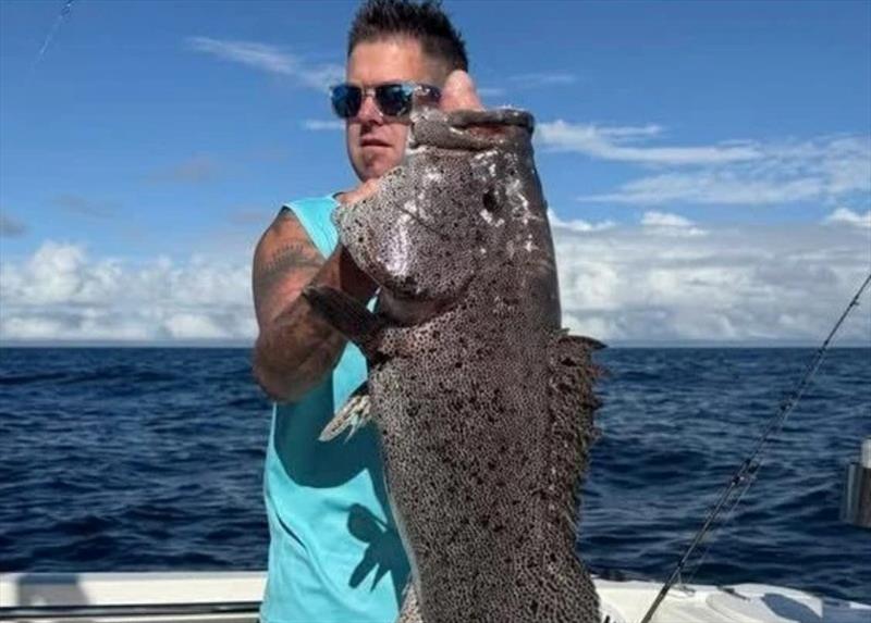 Shane caught this fine 'cattle dog cod' on a recent offshore mission photo copyright Fisho's Tackle World Hervey Bay taken at  and featuring the Fishing boat class
