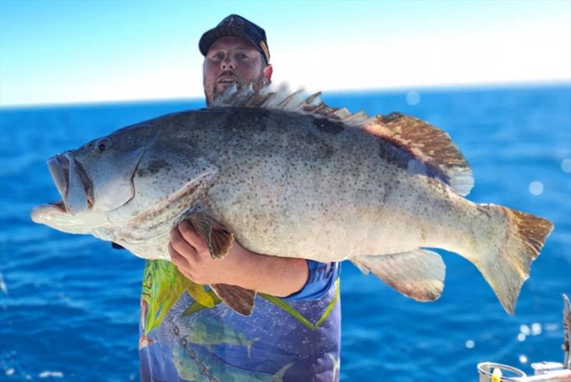Big fat cod such as this one hauled in by Nathan are best released when in good condition. They help maintain our reefs in good shape - photo © Fisho's Tackle World Hervey Bay