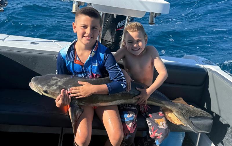A lap full of cobia had the Brown brothers smiling on a recent trip out wide - photo © Fisho's Tackle World Hervey Bay