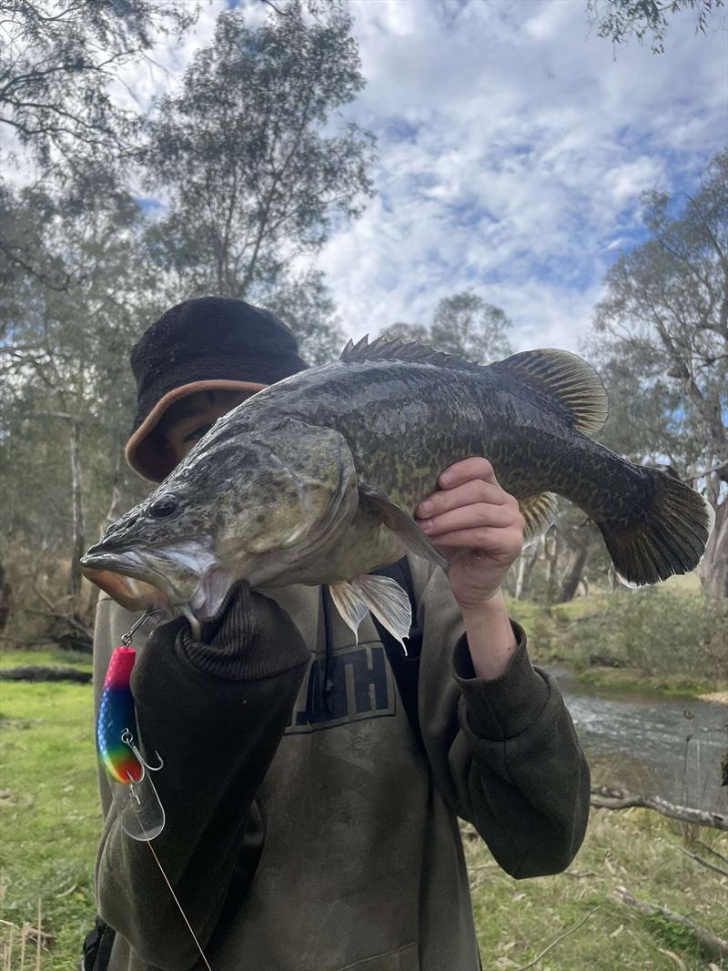 Trelly's Weekly Fishing Report photo copyright Trellys taken at  and featuring the Fishing boat class