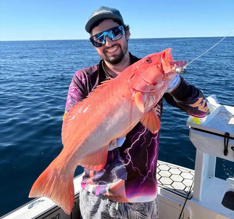 Chris tempted this lovely trout with the stock-standard heavy jighead-rigged Samaki Live Shrimp photo copyright Fisho's Tackle World Hervey Bay taken at  and featuring the Fishing boat class