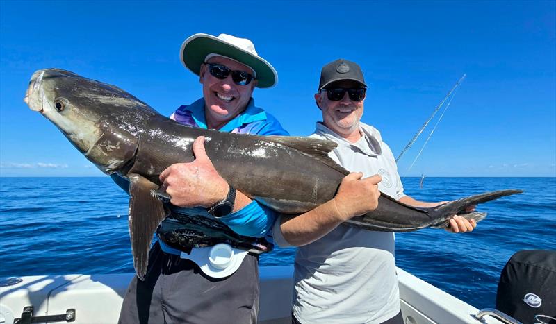 If you like cuddling cobia, then a trip out with Hot Reels Fishing Charters is for you photo copyright Fisho's Tackle World Hervey Bay taken at  and featuring the Fishing boat class