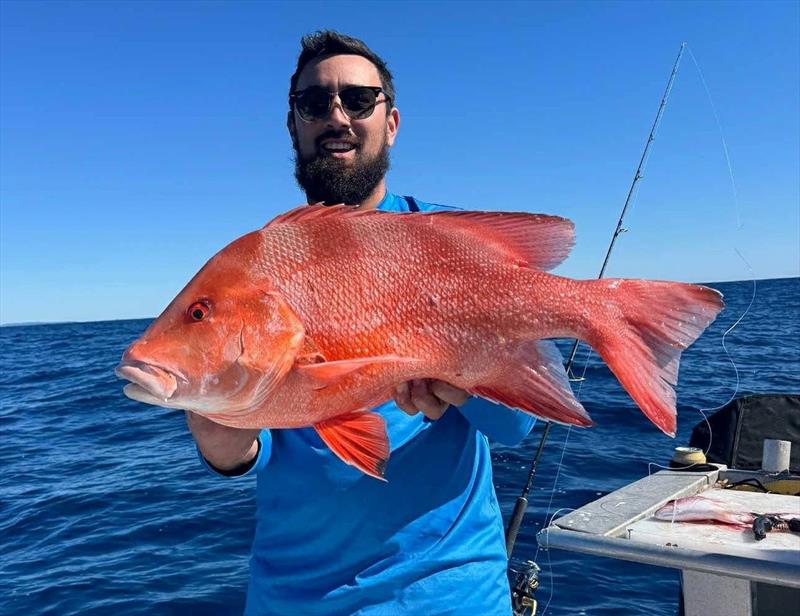 The reds will get a rest this week, but look out when the weather improves photo copyright Fisho's Tackle World Hervey Bay taken at  and featuring the Fishing boat class