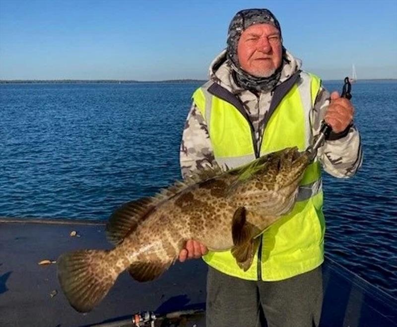 Luis' River Heads estuary cod fell victim to a live pike - photo © Fisho's Tackle World Hervey Bay