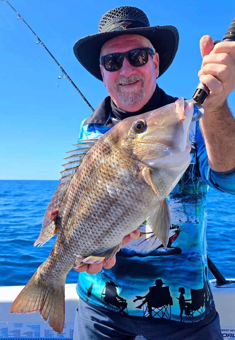 Grassy sweetlip are the most prolific species caught by bait fishos in the northern bay photo copyright Fisho's Tackle World Hervey Bay taken at  and featuring the Fishing boat class
