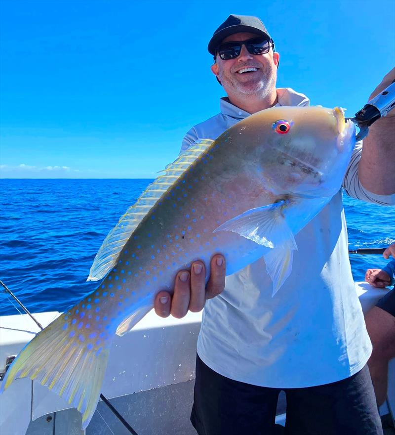 Venus tusk fish are caught around the fringes of the northern bay reefs. This one had a Hot Reels client grinning from ear to ear photo copyright Fisho's Tackle World Hervey Bay taken at  and featuring the Fishing boat class