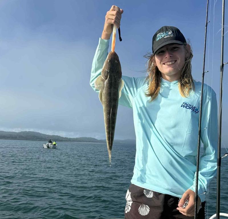 Flathead of all sizes are biting all over the place in Hervey Bay and Great Sandy Straits waters photo copyright Fisho's Tackle World Hervey Bay taken at  and featuring the Fishing boat class
