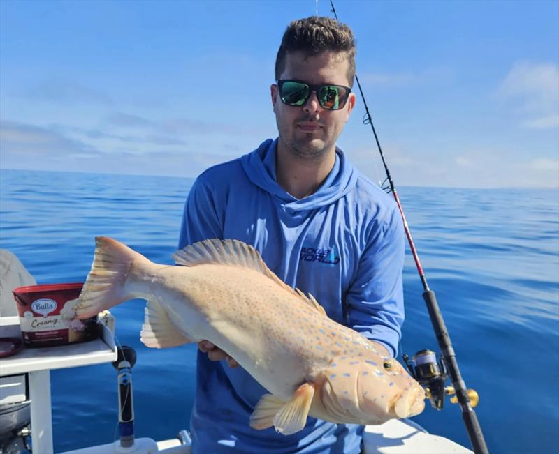 Coral trout have been on the chew in the northern bay. We just need the weather to get to them photo copyright Fisho's Tackle World Hervey Bay taken at  and featuring the Fishing boat class