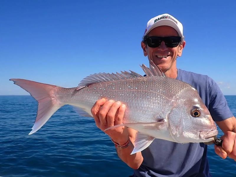Snapper will be hotly pursued from this weekend onwards, now that the season is re-opening at midnight tonight - photo © Fisho's Tackle World Hervey Bay