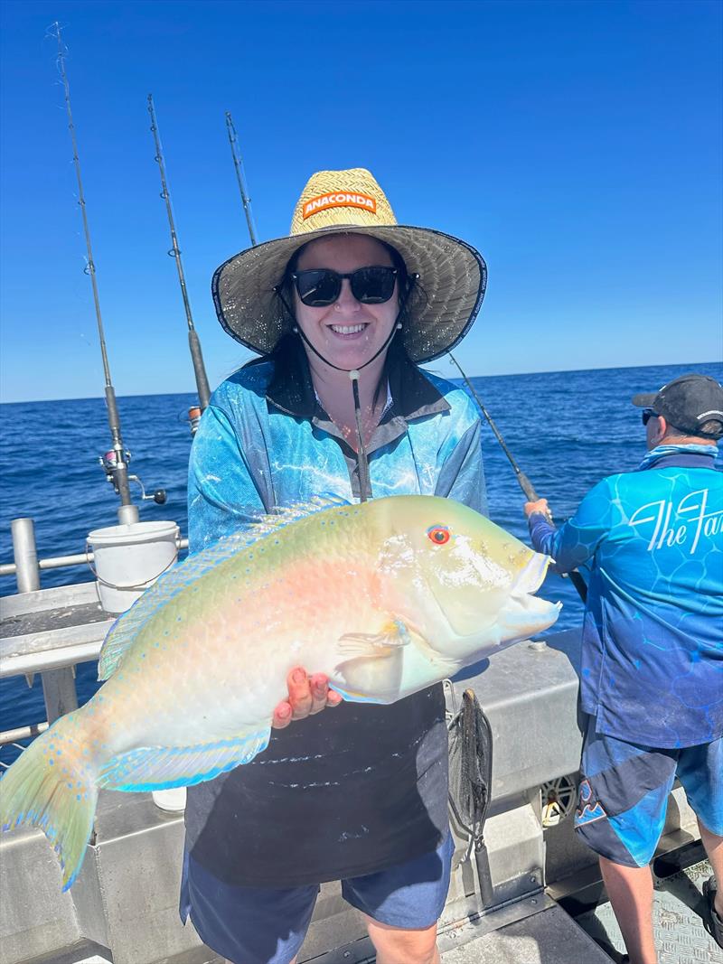 Large venus tusk fish regularly feature in catches aboard Double Island Point Fishing Charters - photo © Fisho's Tackle World Hervey Bay