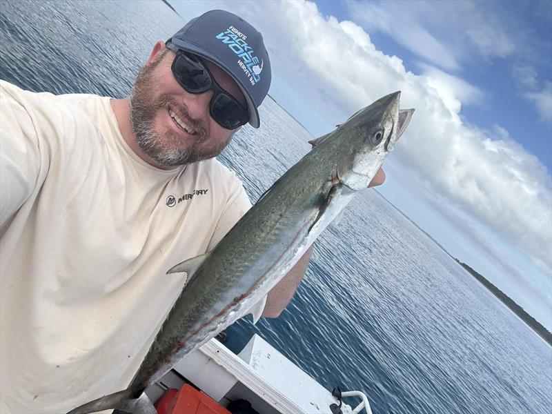 Stuart found the schoolies over towards Fraser Island. Their numbers are swelling and they will be great targets for the kids - photo © Fisho's Tackle World Hervey Bay
