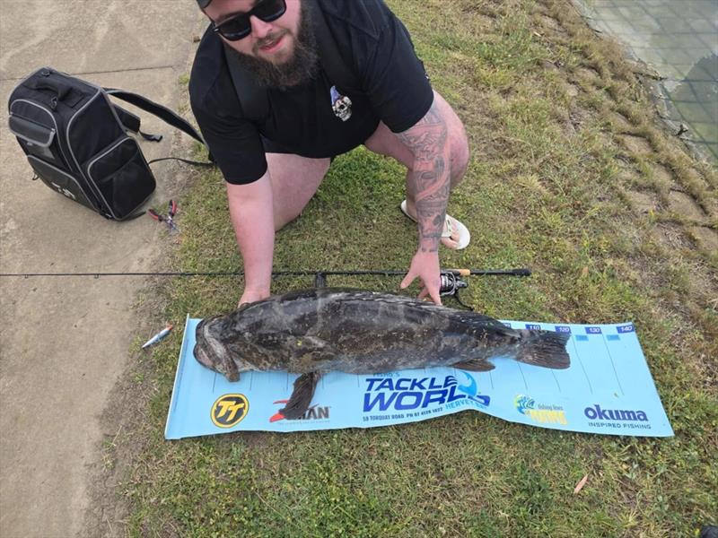 Estuary cod have been on the chew in the local lakes. Things are about to get exciting as those waters warm up - photo © Fisho's Tackle World Hervey Bay
