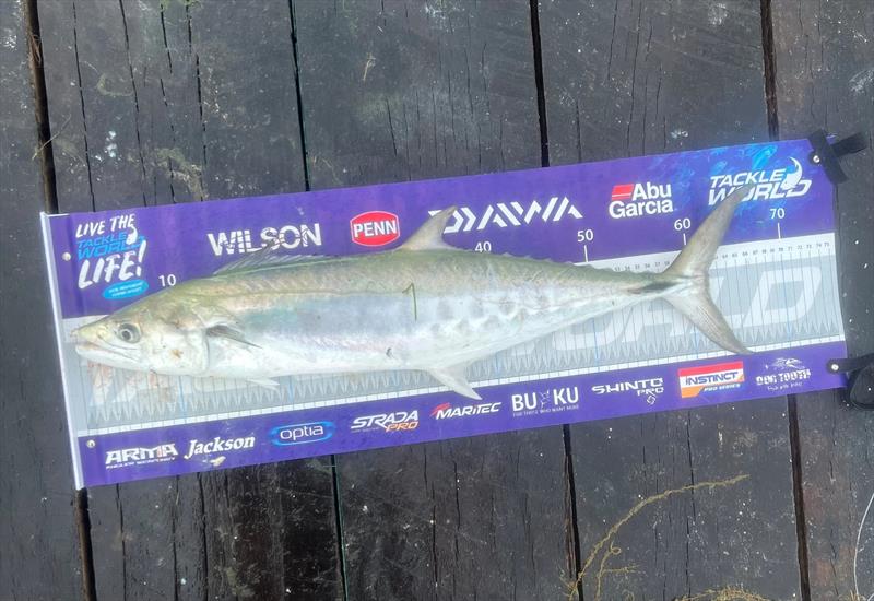 Hamish caught one of the better schoolies from the Urangan Pier - photo © Fisho's Tackle World Hervey Bay