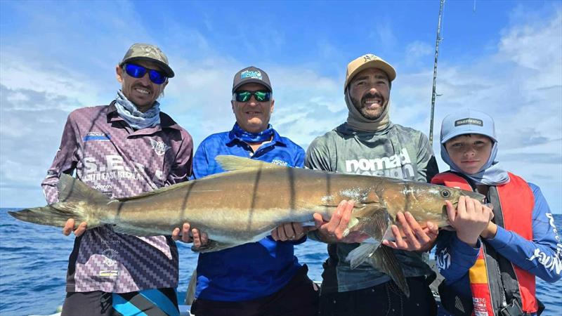 A multi-client cobia cuddle on a recent Hot Reels Charter - photo © Fisho's Tackle World Hervey Bay