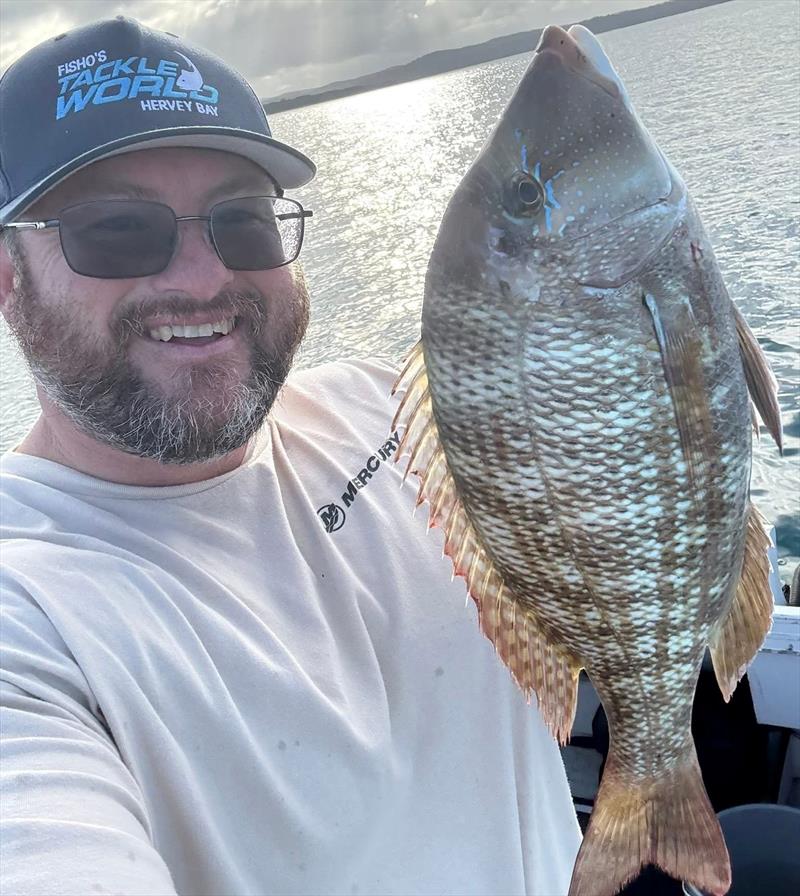 Stuart added grassy sweetlip to the seafood menu after this session - photo © Fisho's Tackle World Hervey Bay