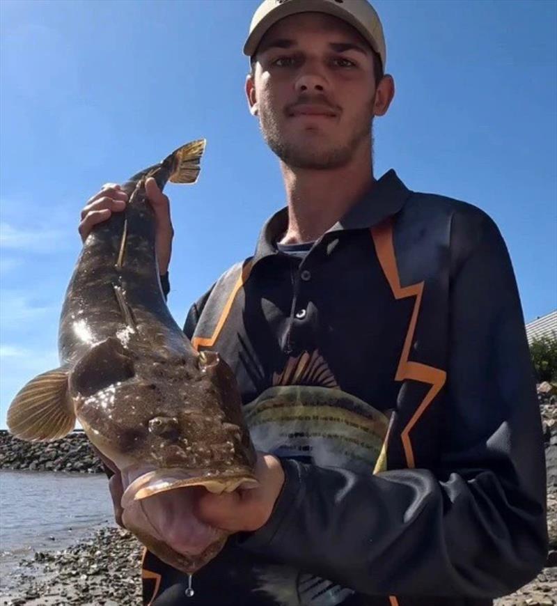 Flathead are a great target for the kids these school holidays - photo © Fisho's Tackle World Hervey Bay