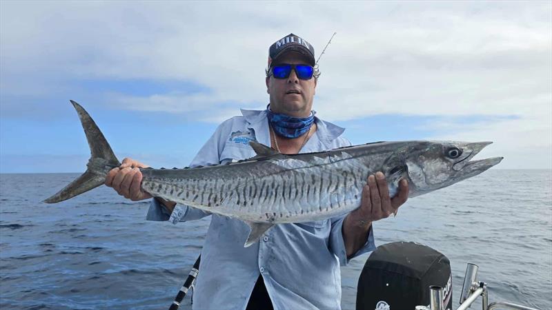 Spaniards can be found in the northern and central bay, as well as offshore - photo © Fisho's Tackle World Hervey Bay